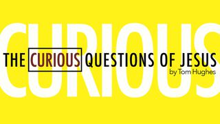 The Curious Questions Of Jesus John 6:45-71 Amplified Bible