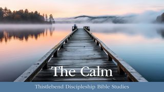 The Calm: Live Each Day in the Calm Amid the Storm  Philippians 4:8 New International Version