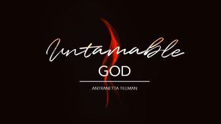 Untamable God  1 John 4:7-16 New International Version