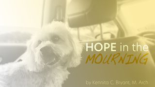 Hope in The Mourning Luke 1:37 New International Version