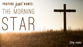 Praying Jesus' Names: The Morning Star I John 1:8-10 New King James Version