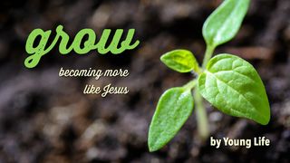 Grow: Becoming More Like Jesus Galatians 5:19-24 The Message