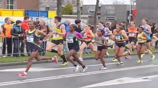Your Vocation As A "Marathon Run" Hebrews 12:1-3 English Standard Version 2016