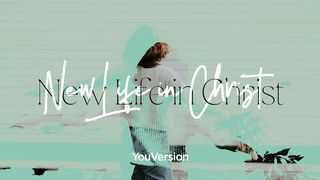 New Life In Christ Colossians 3:1-4 Amplified Bible