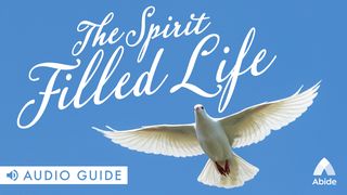 The Spirit Filled Life Galatians 5:16-17 New International Version
