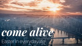 Come Alive: Easter in Everyday Life Luke 19:28-44 The Message