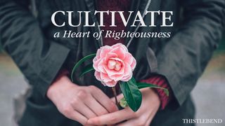 Cultivate a Heart of Righteousness! Colossians 3:12 New International Version