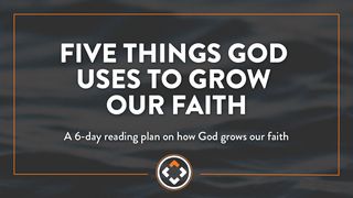 Five Things God Uses to Grow Your Faith John 11:45-57 American Standard Version