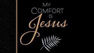 My Comfort Is Jesus Matteus 8:20 Bybel vir almal