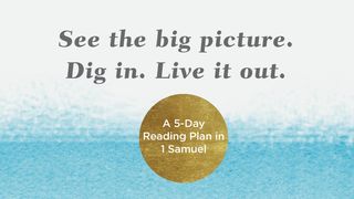 See the Big Picture. Dig In. Live It Out: A 5-Day Reading Plan in 1 Samuel 1 Samuel 2:12-36 The Message