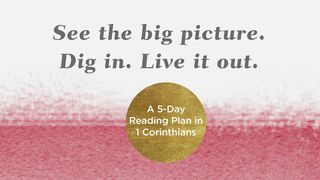 See the Big Picture. Dig In. Live It Out: A 5-Day Reading Plan in 1 Corinthians 1 Corinthians 1:23 American Standard Version
