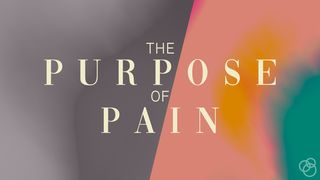 The Purpose of Pain 1 John 1:8-10 New American Standard Bible - NASB 1995