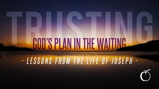 Trusting God's Plan in the Waiting: Lessons From the Life of Joseph Genesis 40:1-23 Amplified Bible