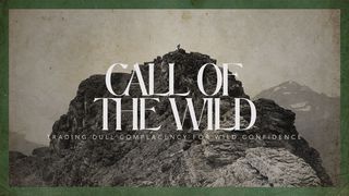 Call of the Wild:  a Journey Through the Book of James James 5:7-12 New Living Translation