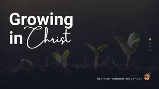 Growing in Christ  John 15:1-8 King James Version