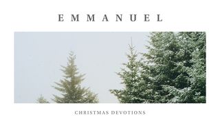 The Wonder of Christmas: 4 Day Devotional Luke 2:13-20 New Living Translation