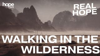 Walking in the Wilderness Luke 15:4 New Century Version