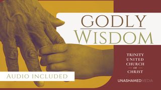 Godly Wisdom Ecclesiastes 7:8 New International Version