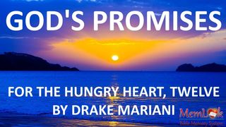 God's Promises For The Hungry Heart, Twelve 2 Peter 1:3-4 The Message