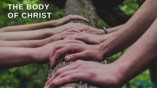 The Body of Christ Psalms 133:1-3 New International Version