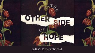 The Other Side of Hope: Breaking the Cycle of Cynicism Genesis 1:11 New Living Translation