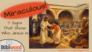 Miraculous! Seven Signs That Show Who Jesus Is Luke 8:49-56 The Message