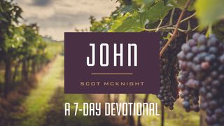 The Gospel of John John 11:45-57 New International Version