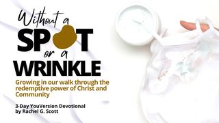 Without a Spot or a Wrinkle Proverbs 27:17-23 Amplified Bible