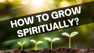 How to Grow Spiritually? KOLOSSENSE 2:6-7 Afrikaans 1983