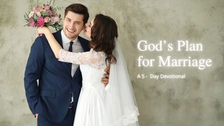 God’s Plan for Marriage Romans 5:12-21 The Message