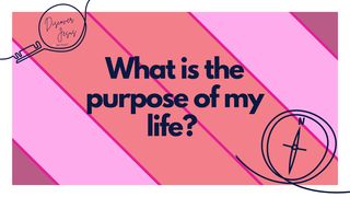 What Is the Purpose of My Life? Colossians 3:12-15 King James Version