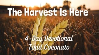 The Harvest Is Here Matthew 9:37 New International Version