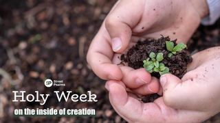 Holy Week - on the Inside of Creation John 13:1-5 Amplified Bible