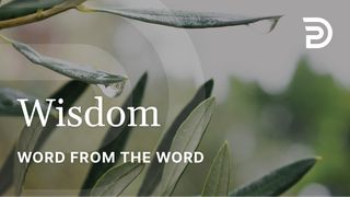 A Word From the Word - Wisdom Proverbs 8:17 English Standard Version 2016