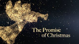 The Promise of Christmas Salmos 136:26 Nueva Traducción Viviente