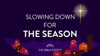 Slowing Down for the Season Luke 2:13-20 The Message