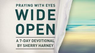 Praying With Eyes Wide Open John 10:1-21 The Message