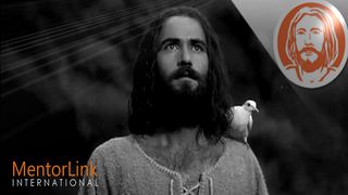 8 Days With Jesus: Who Is Jesus? Luke 23:26-56 New Living Translation