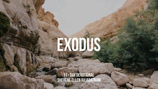 Through Exodus Exodus 16:10 The Message