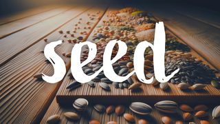 Seeds: What and Why  Génesis 1:11 Nueva Traducción Viviente