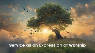 Service as an Expression of Worship John 13:1-5 New Century Version