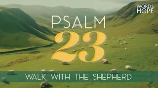 Psalm 23: Walk With the Shepherd Exodus 16:10 The Message