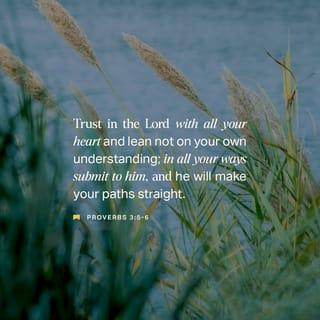 Proverbs 3:5-6 - Trust the LORD with all your heart,
and don’t depend on your own understanding.
Remember the LORD in all you do,
and he will give you success.