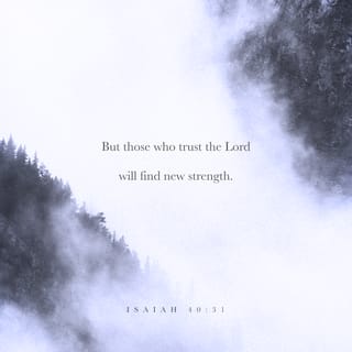 Isaiah 40:31 - Yet those who wait for the LORD
Will gain new strength;
They will mount up with wings like eagles,
They will run and not get tired,
They will walk and not become weary.