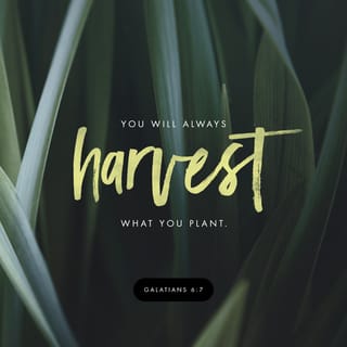Galatians 6:7-10 - Be not deceived; God is not mocked: for whatsoever a man soweth, that shall he also reap. For he that soweth unto his own flesh shall of the flesh reap corruption; but he that soweth unto the Spirit shall of the Spirit reap eternal life. And let us not be weary in well-doing: for in due season we shall reap, if we faint not. So then, as we have opportunity, let us work that which is good toward all men, and especially toward them that are of the household of the faith.