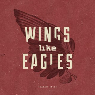 Isaiah 40:31 - But those who entwine their hearts with YAHWEH
will experience divine strength.
They will rise up on soaring wings and fly like eagles,
run their races without growing weary,
and walk through life without giving up.