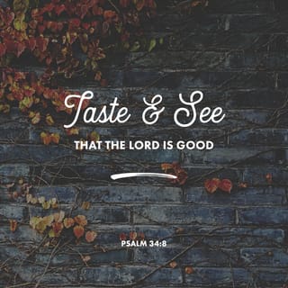Psalms 34:8 - Open your mouth and taste, open your eyes and see—
how good GOD is.
Blessed are you who run to him.