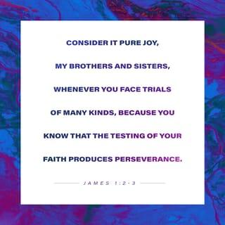James 1:2-4 - My brethren, count it all joy when ye fall into divers temptations; knowing this, that the trying of your faith worketh patience. But let patience have her perfect work, that ye may be perfect and entire, wanting nothing.