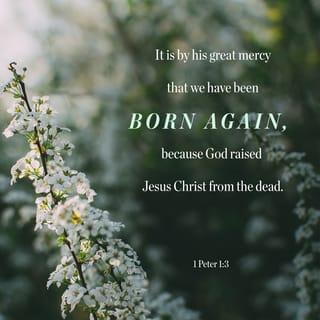 1 Peter 1:3-4 - Blessed be the God and Father of our Lord Jesus Christ, who according to his great mercy begat us again unto a living hope by the resurrection of Jesus Christ from the dead, unto an inheritance incorruptible, and undefiled, and that fadeth not away, reserved in heaven for you