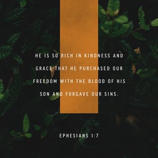 Ephesians 1:7 - In him we have redemption through his blood, the forgiveness of sins, in accordance with the riches of God’s grace